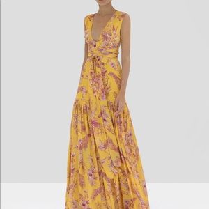Alexis Belaya Long Dress